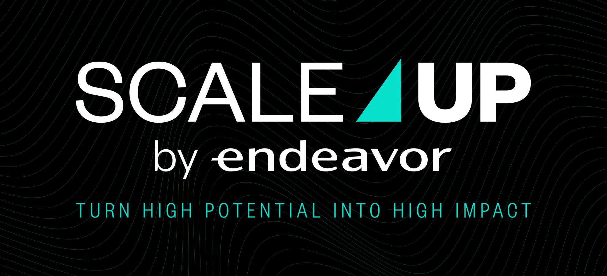 Accelerăm succesul! Endeavor România lansează programul Scale Up!