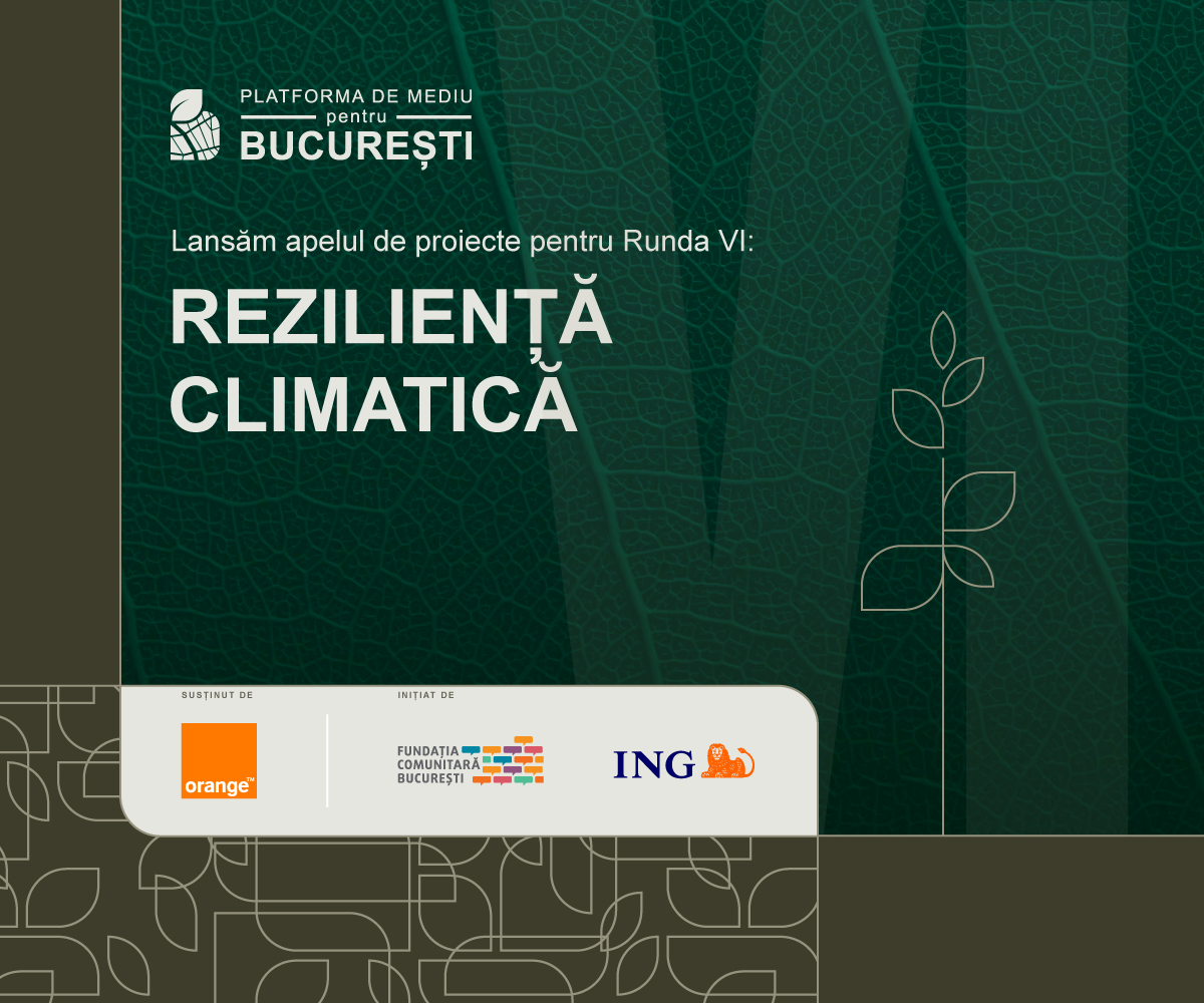 500.000 de lei pentru proiecte de reziliență climatică prin Platforma de mediu pentru București